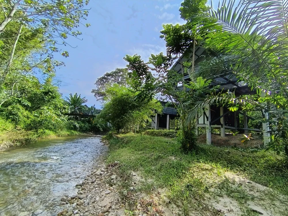 Villa 6